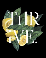 Prosper and Thrive II