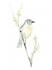 Avian Impressions III