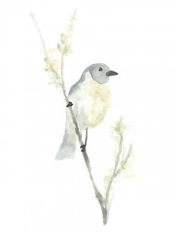 Avian Impressions III