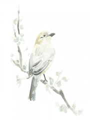 Avian Impressions IV