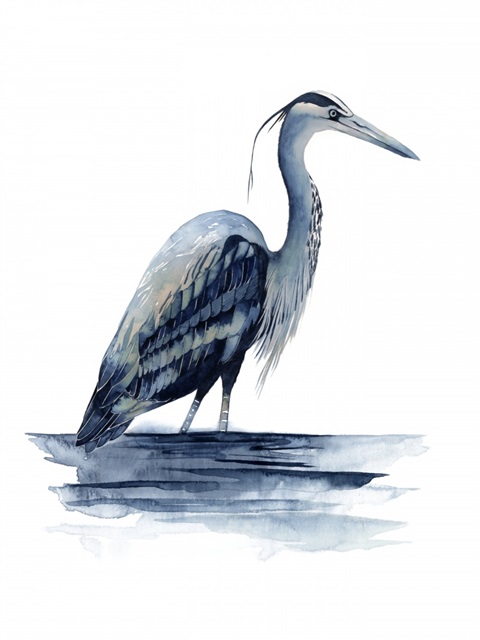 Azure Heron II