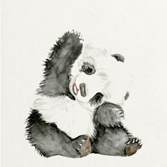 Baby Panda I