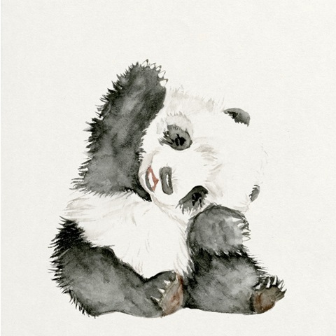 Baby Panda I