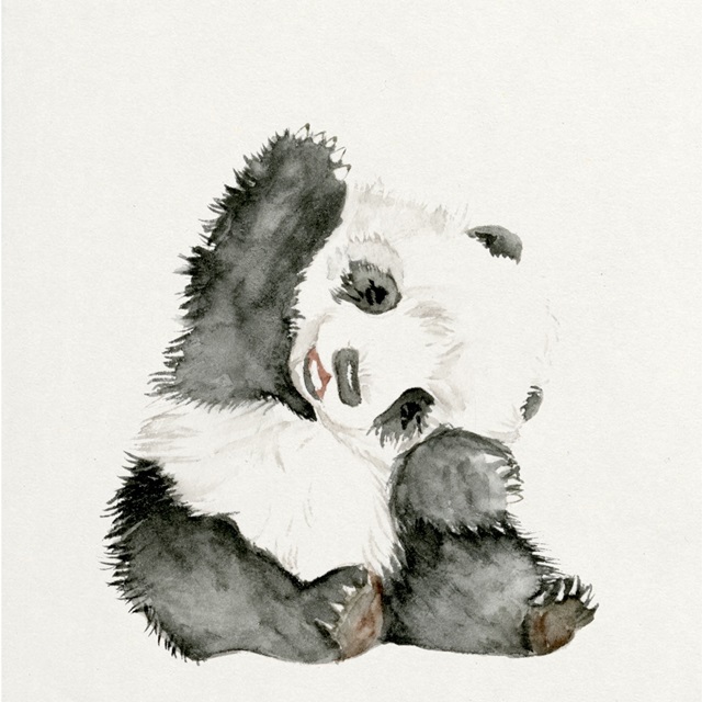 Baby Panda I