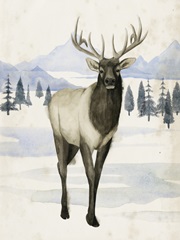 Alaskan Wilderness II