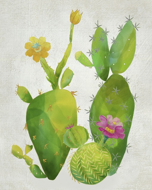Cacti Collection II