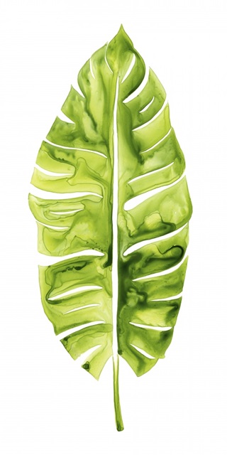 Banana Leaf Study I