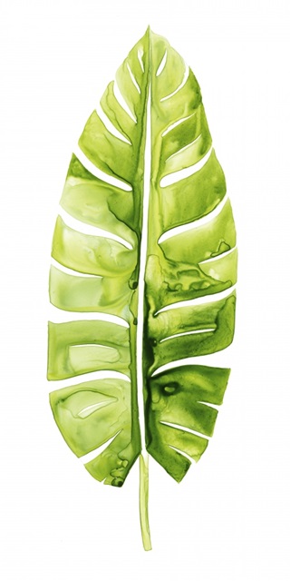 Banana Leaf Study II