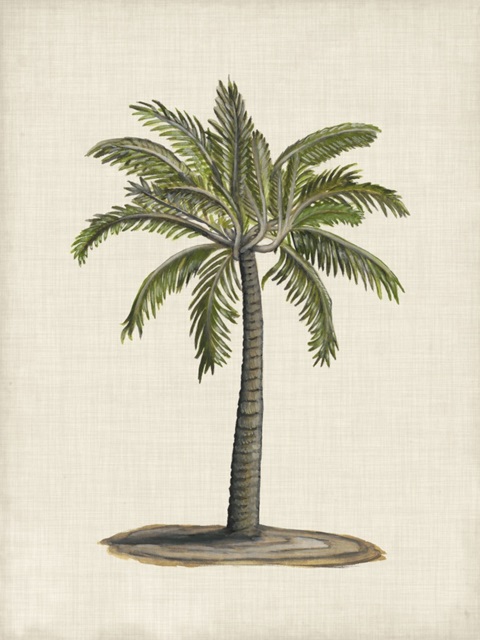 British Palms I