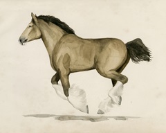 Clydesdale II