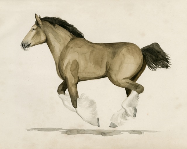 Clydesdale II
