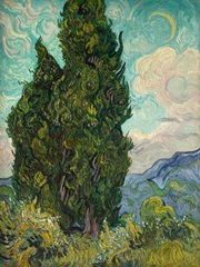Cypresses I