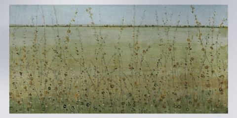 Edge of the Field II