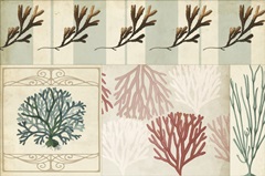 Coastal Patternbook I