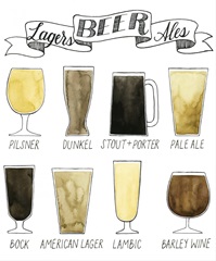 Beer Info Graphic