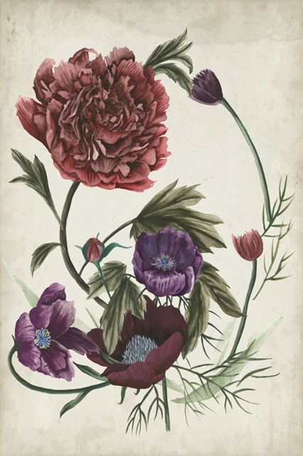 Antique Peony I