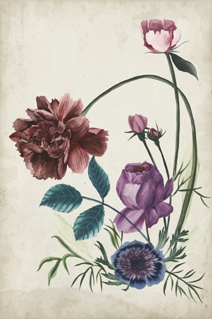 Antique Peony II