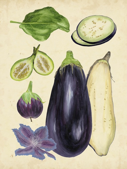 Aubergine Study II