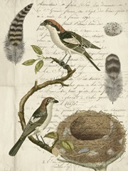 Avian Journal I