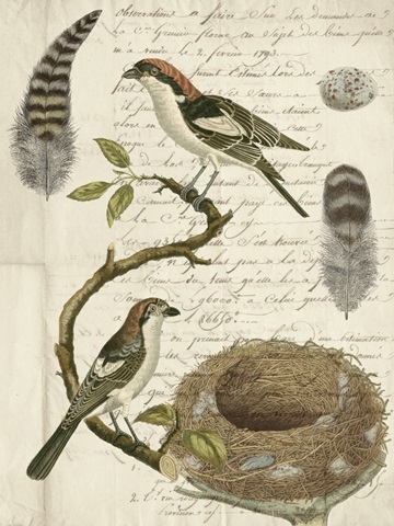 Avian Journal I