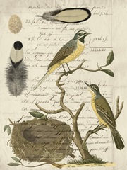Avian Journal II