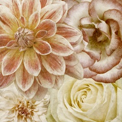 Beautiful Quartet II