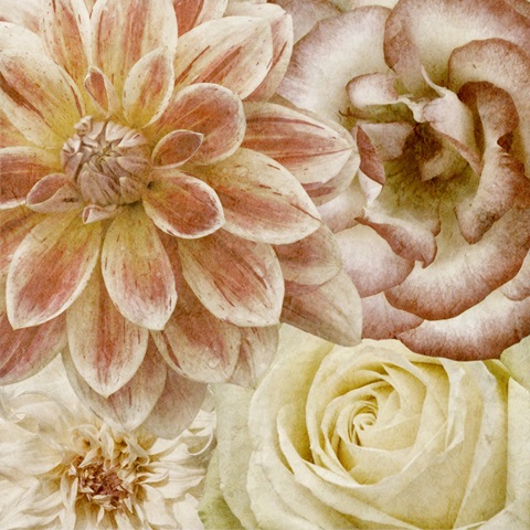 Beautiful Quartet II