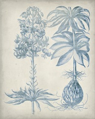 Blue Fresco Floral I
