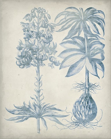 Blue Fresco Floral I
