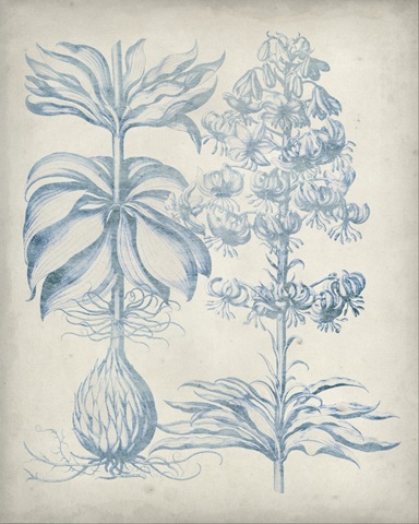 Blue Fresco Floral II