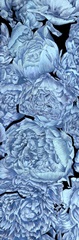 Blue Peonies II