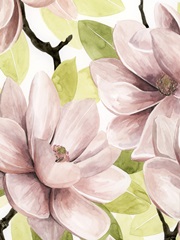 Blush Magnolia I