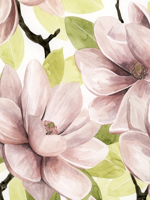 Blush Magnolia I