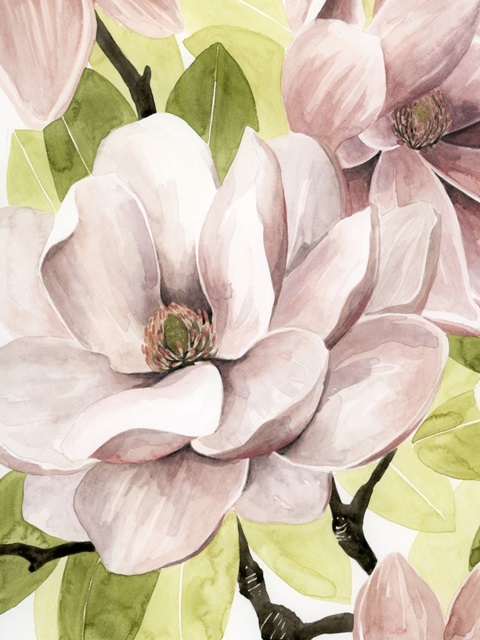 Blush Magnolia II