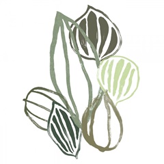 Botanical Interim II