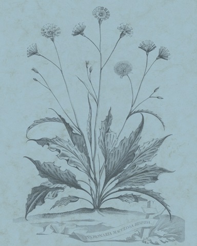 Botanical on Teal IV