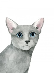 Cat Portrait I