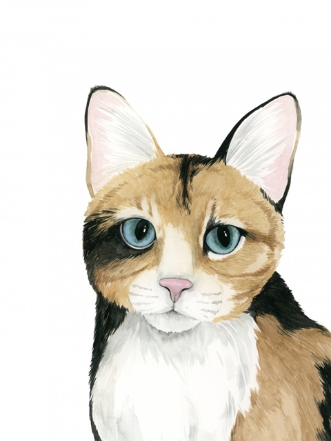 Cat Portrait II