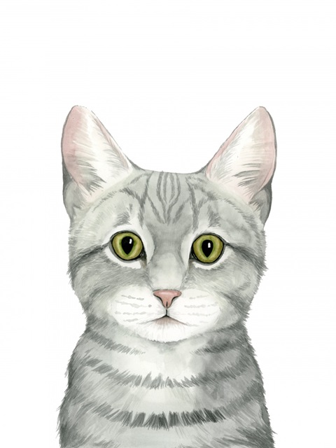 Cat Portrait III