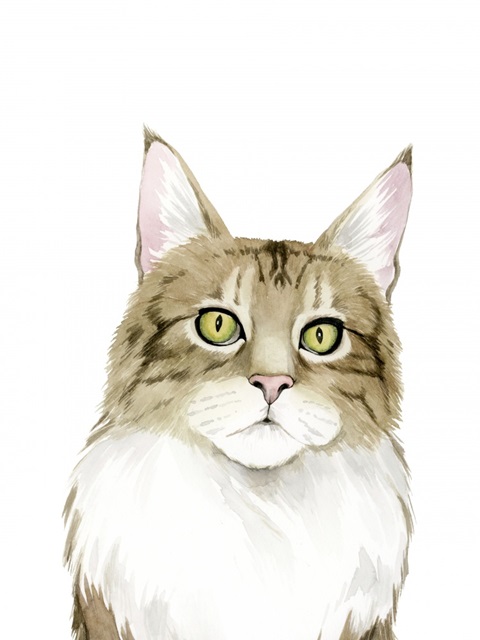 Cat Portrait IV