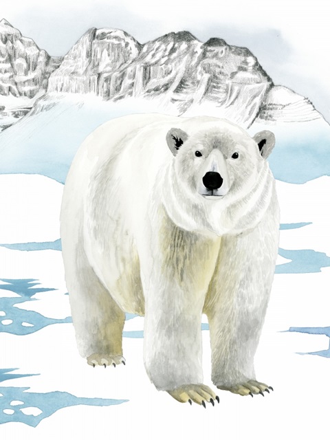 Arctic Animal II