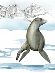 Arctic Animal IV