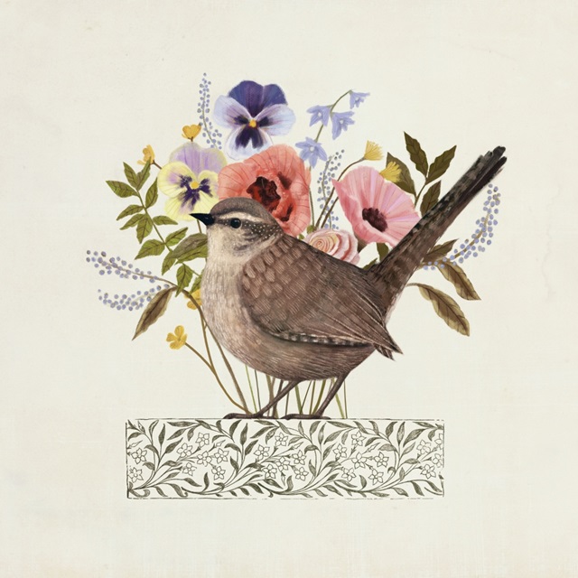 Avian Collage I