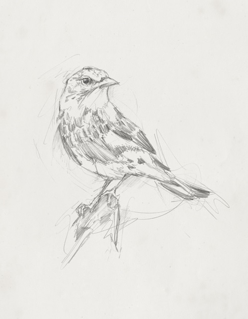 Avian Study I