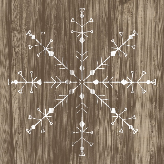 Barnwood Wonderland V