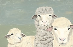 Bashful Sheep II