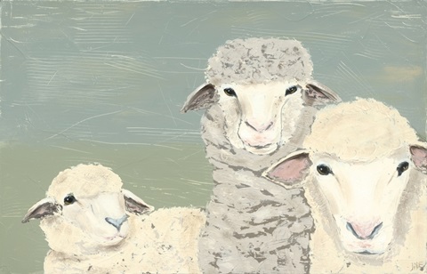 Bashful Sheep II