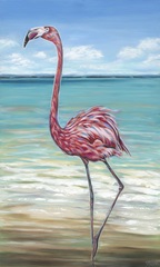 Beach Walker Flamingo II