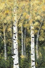 Birch Treeline II