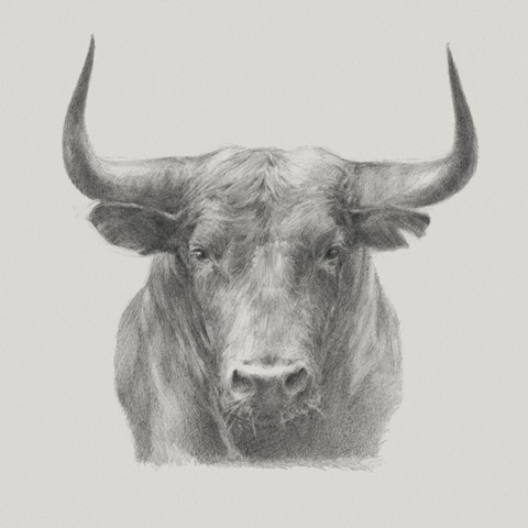 Black Bull